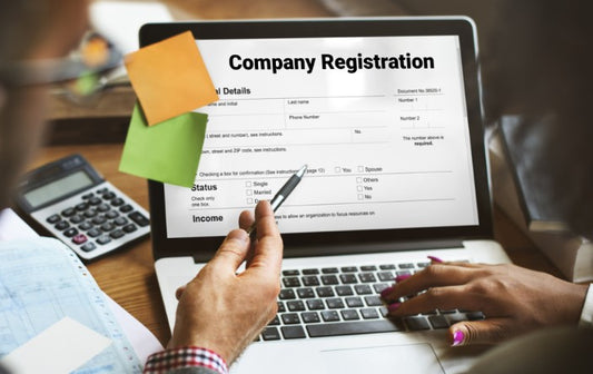 Business Growth Solutions | Limited Liability Company Setup | LLC  | Setup, Annual Returns, Renewal &amp; Closure Services