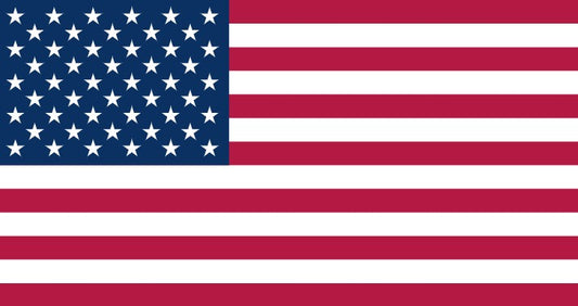 UNITED STATES OF AMERICA VISITOR VISA
